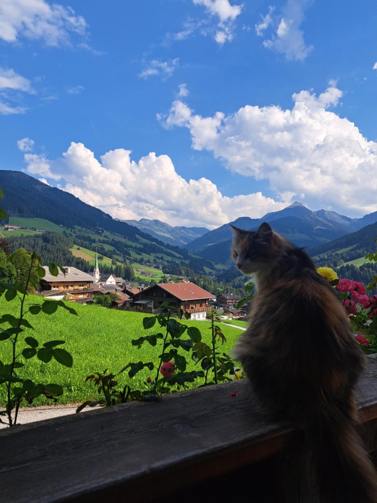 Heachhof Daire Alpbach Dış mekan fotoğraf