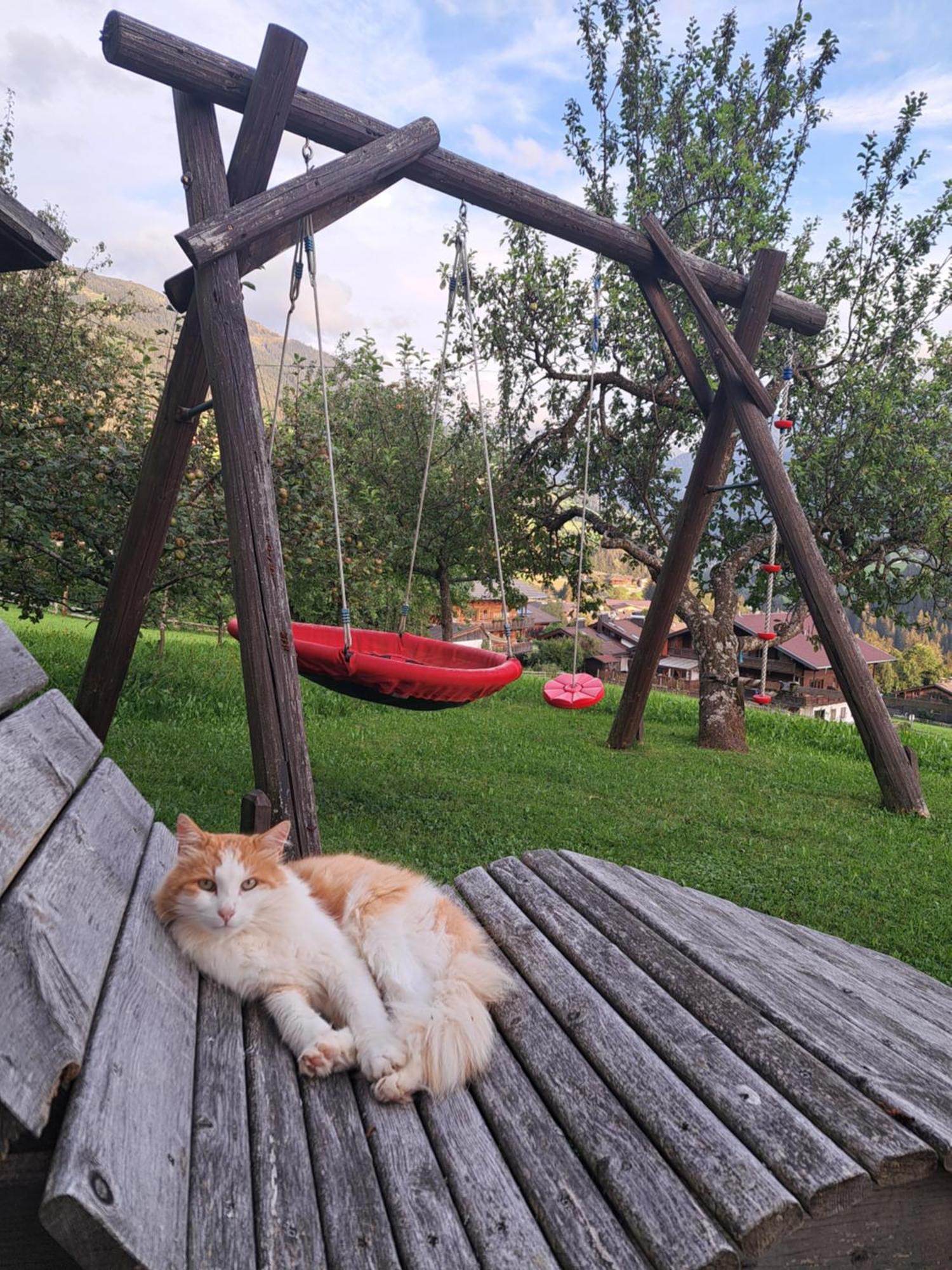 Heachhof Daire Alpbach Dış mekan fotoğraf