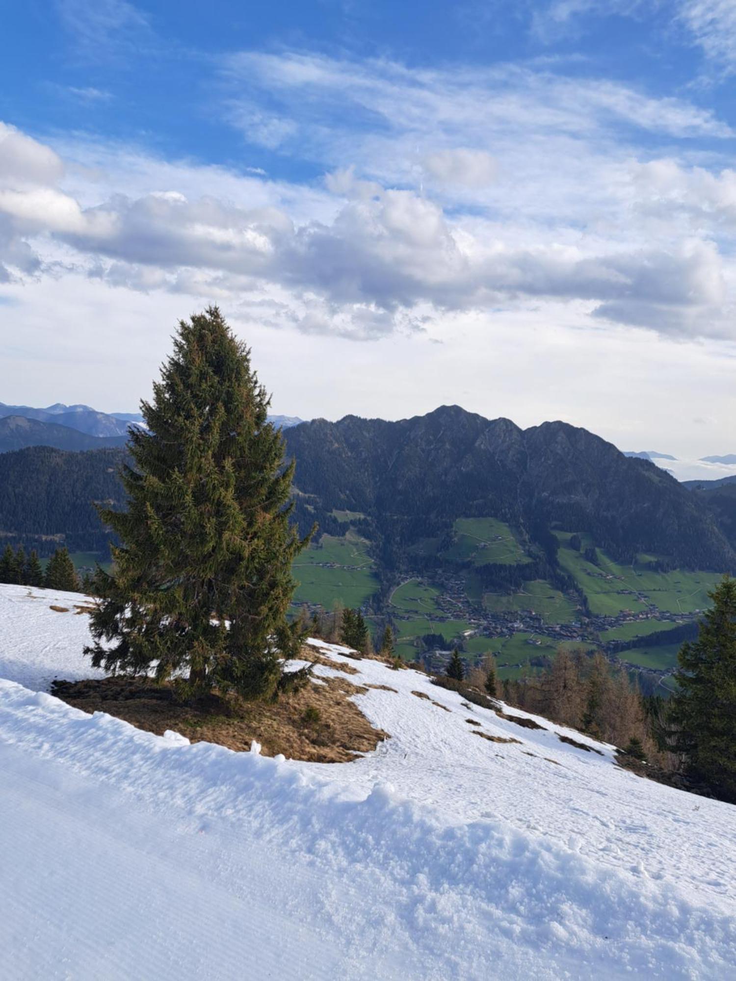 Heachhof Daire Alpbach Dış mekan fotoğraf