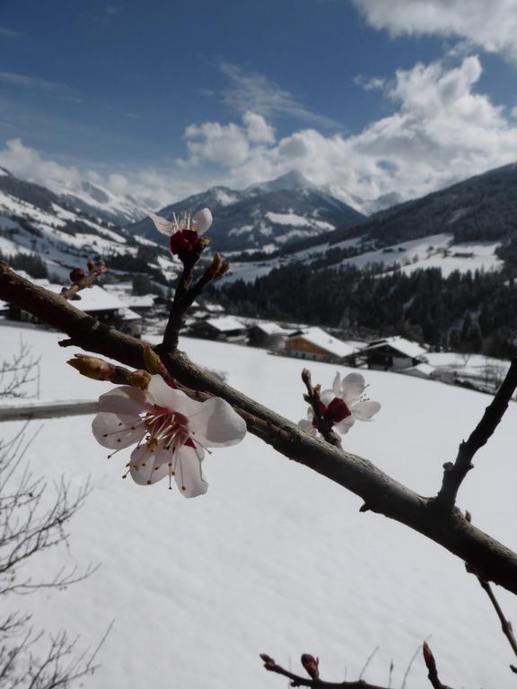 Heachhof Daire Alpbach Dış mekan fotoğraf
